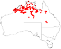 Acacia neurocarpaDistMap627