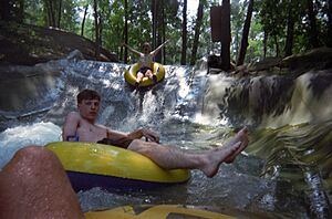 Action Park (3000201136)