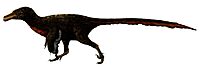Adasaurus Restoration.jpg