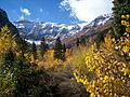 Alpine Loop 2007 006