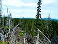 Another view from the Takh Takh Lava Flow