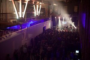 Ariel Pink performs at Pioneer Works