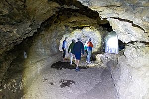 At Cueva del Viento 2023 023