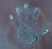 Azumafuji handprint