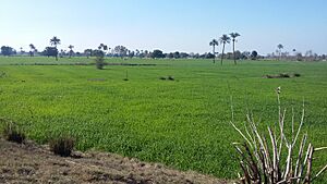 Bahawalpur.Punjab Pakistan