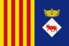Flag of Vacarisses