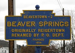 Official logo of Beaver Springs