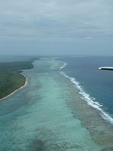 Belize Barrier Reef Aerial Looking North