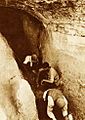 Bisitun cave-Coon 1951