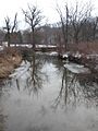 Briar Creek