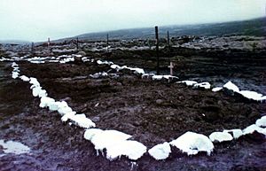 British War Grave Falkland Islands 1982