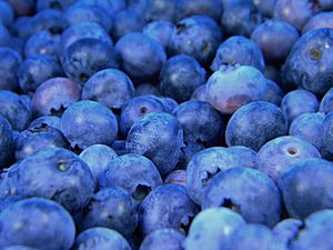 Bundle of Blueberries (Unsplash)