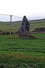 Castle Clanyard (Remains) - geograph.org.uk - 563692.jpg