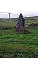 Castle Clanyard (Remains) - geograph.org.uk - 563692