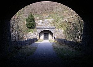 Chee Tor Tunnel - geograph.org.uk - 397860