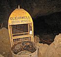 Clearwell Mine.jpg