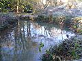 Cocklemore Brook, Geograph-4269433-by-Michael-Dibb