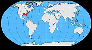 Corvus ossifragus map.jpg
