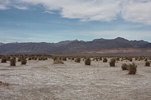 Death Valley landscape