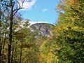 DeerleapMt BristolVT 2010
