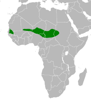 Dendropicos elachus distribution.PNG