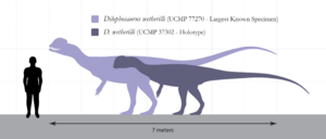 Dilophosaurus Size Comparison