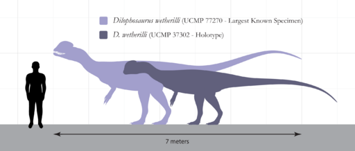 Dilophosaurus Size Comparison