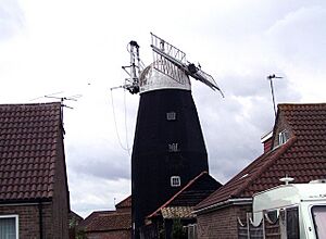 Downfield Mill, Soham