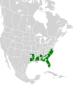 Dryobates borealis map