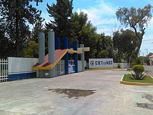 Escuela en Actopan, Hidalgo 06