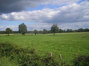 FR-03-Landscape
