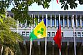 Flags of Saint Vincent and the Grenadines and the Republic of China 20100827