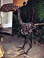 Gastornis