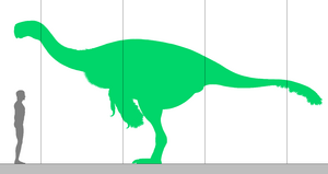 Gigantoraptor scale