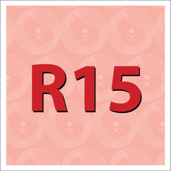 Gmedia R15
