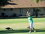 Golfing in Sun City AZ, USA