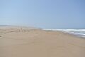Guadalupe Dunes County Park beach