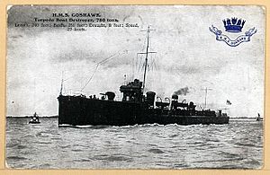 HMS Goshawk (1911)