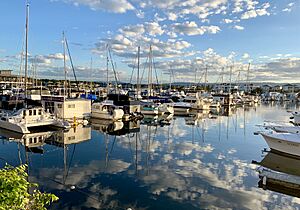 Hope Island Marina, May 2019, 06