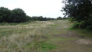 Hounslow Heath 1