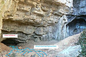 Howell Cave MD