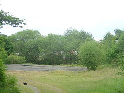Llanymynech station yard - geograph.org.uk - 924742