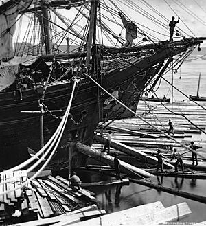Loading ship with square timber through the bow port Quebec City QC 1872