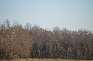 Locust Grove from Amicus Road
