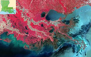 Mississippi Delta IR