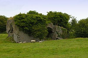 Monasteoris and sheep, County Offaly