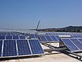 Pannelli solari Unicoop Tirreno