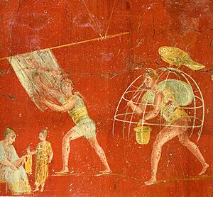 Pompeii - Fullonica of Veranius Hypsaeus 1 - MAN