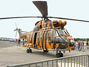 Puma, 230 Sqn RAF, Waddington. - geograph.org.uk - 1139418