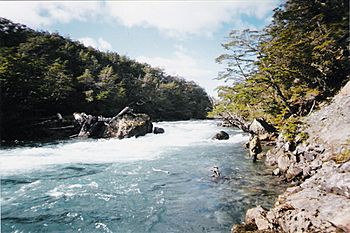 RIO AZOPARDO -TIERRA DEL FUEGO-CHILE.JPG